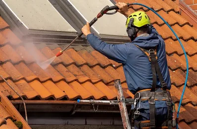 Démoussage et hydrofuge de toiture à Rouillé
